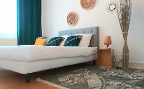 Le Tigre - Appartement Centre-Ville Au Calme, Parking Prive
